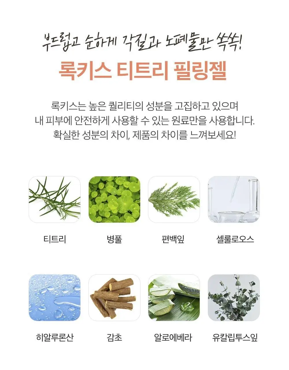 [단독기획] 록키스 티트리 필링젤 (본품120ml+60ml추가 증정) 상세페이지 14